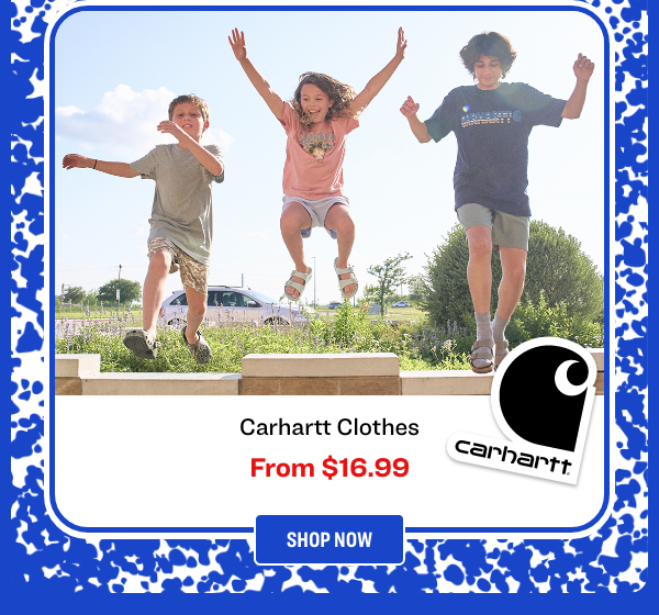 Academy Sports Carhartt email product block