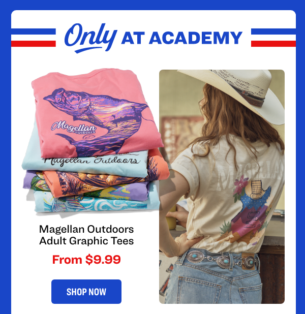 Academy Sports Labor Day clearance promo email block